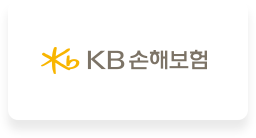 KB손해보험