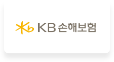 KB손해보험